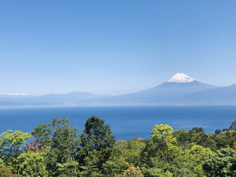 1月の予約受付を開始いたしました!