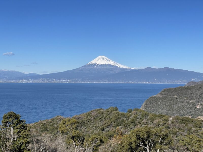 12月1日〜1月9日までの予約受付が開始しました!