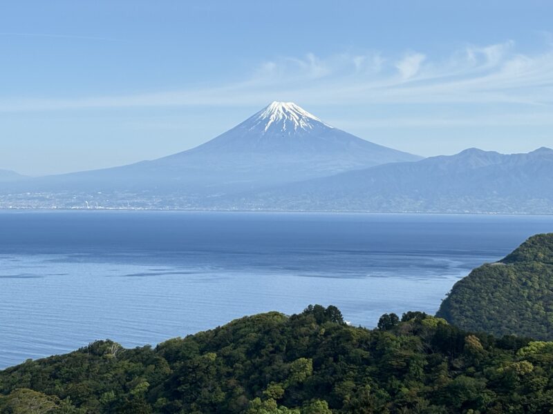 本日の富士山✨